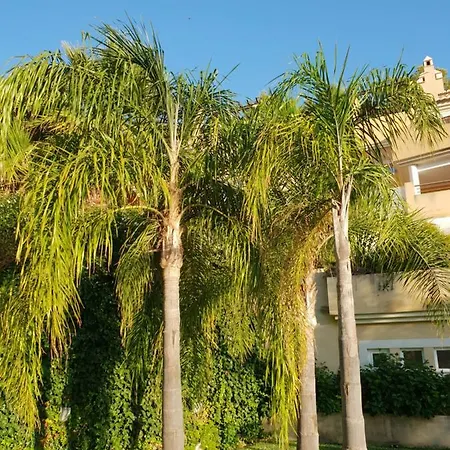 Banyan Cotobro